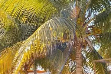 コテージ Cabañas Frida