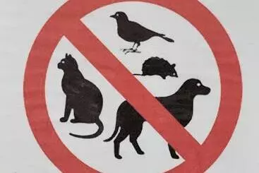 ベッドアンドブレックファースト Le Catogne