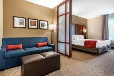 Hotel Comfort Suites Airport