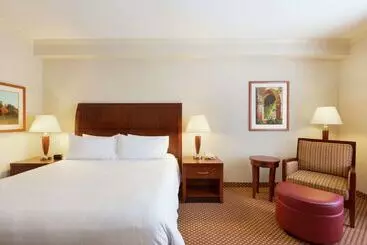 Otel Hilton Garden Inn Shreveport