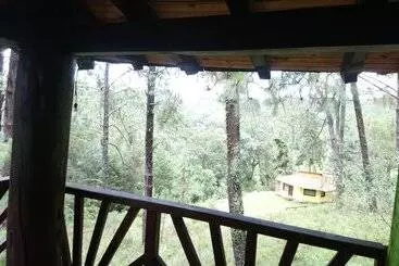 Hotel Cabañas El Pinar