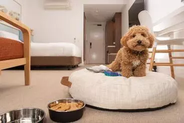 酒店 The Sands Torquay