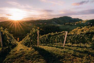 بنسيون 111 Weinkitz