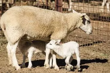 Hotelli Hábitat Cigüeña Negra