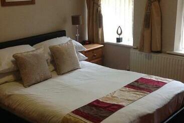 酒店 The Dillwyn Arms