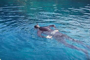 Pensione Camere O Appartamento Intero In Locazione In Pittinuri
