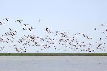 Majatalo Camere O Appartamento Intero In Locazione In Pittinuri