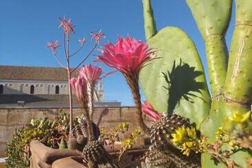 צימר Il Soppalco