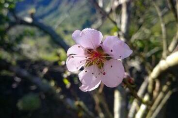 Pensiune Gite Etape Chez Paule Et Jo