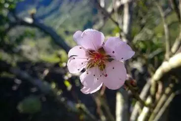 Majatalo Gite Etape Chez Paule Et Jo