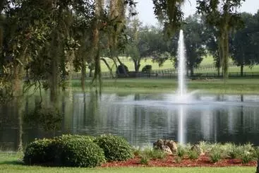 The Grand Oaks Resort