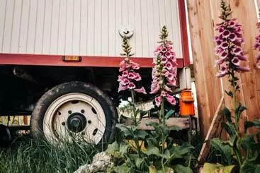 Bed and Breakfast La Vagabonde