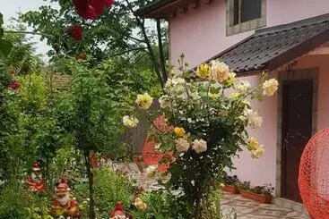 Pensiunea Happy Flowers