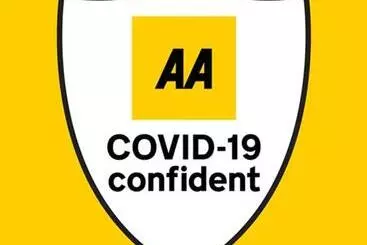 ユースホステル Dolphins Backpackers