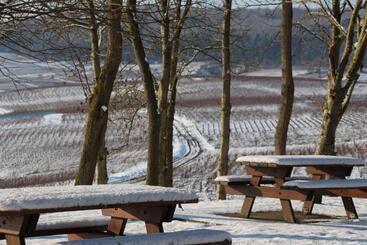 ベッドアンドブレックファースト La Tuiliere