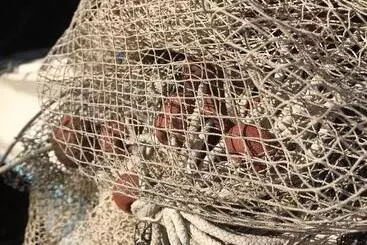 ペンション 40° Parallelo Guest House