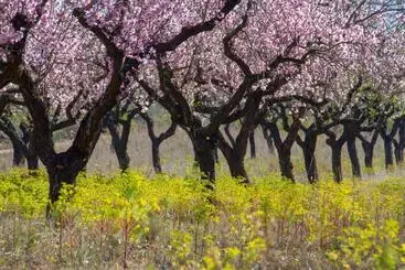 Bed and Breakfast Villa Foia Vella   Adults Only