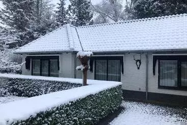 Bed and Breakfast Modern Palace Emma Staete