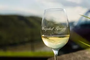 ホテル Winzerhof Gietzen