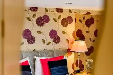 酒店 The Alexander