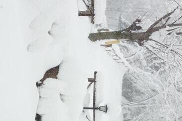 住宿加早餐  Il Castagno