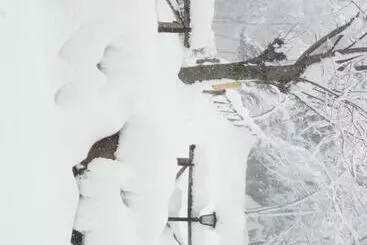 Aamiaismajoitus (B&B) Il Castagno