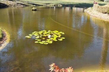 민박 Domaine De Bellevue Chambre D Hôtes