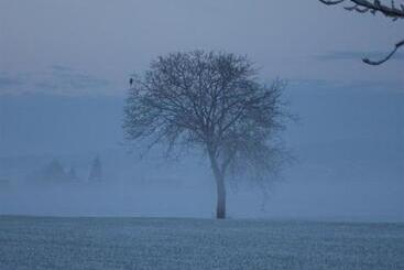 Bed and Breakfast La Casa Dei Gatti