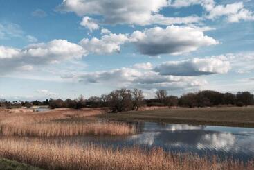 פנסיון Cafe´seestrasse