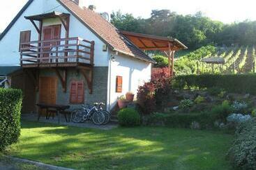 פנסיון Zoltán Borháza