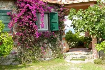 B&b Le Palme