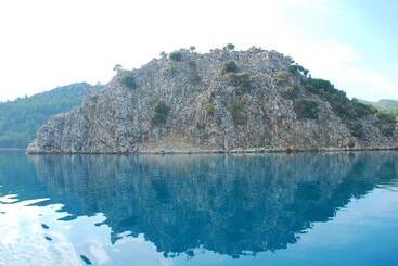 ベッドアンドブレックファースト Sakin Vadi Winehouse