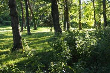 مبيت وإفطار Stuartlodge S