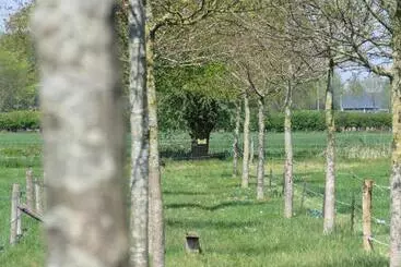 ベッドアンドブレックファースト De Aze