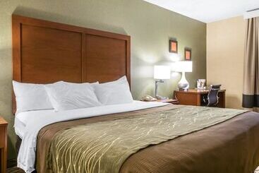 فندق Comfort Inn