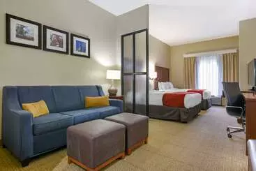 هتل Comfort Suites Fultondale I65 Near I22