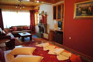 Hotel Asteri Metsovou