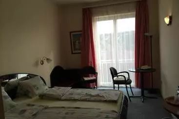 Hotel Belle Fleur Panzio