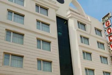 هتل Godwin Deluxe  Near New Delhi Railway Station   Paharganj