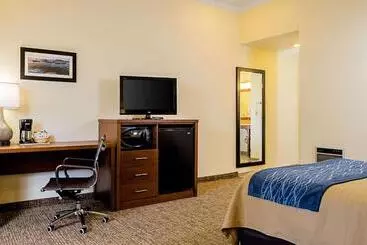 ホテル Comfort Inn Monterey Peninsula Airport