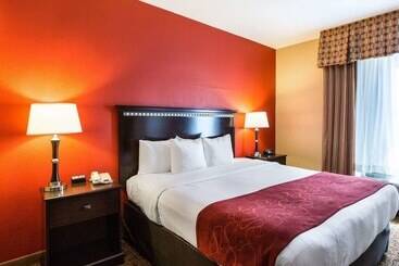 هتل Spark By Hilton Pearland