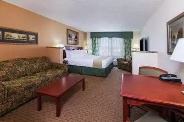 Hotel Holiday Inn Express & Suites Selma, An Ihg