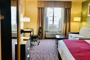 בית מלון כפרי Best Western Plus The Woodlands