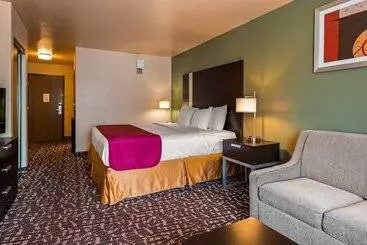 酒店 Best Western Plus The Woodlands