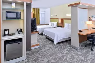 شقة فندقية Springhill Suites By Marriott Detroit Metro Airport Romulus