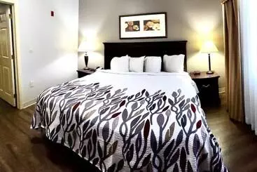 هتل Red Roof Inn & Suites Midland