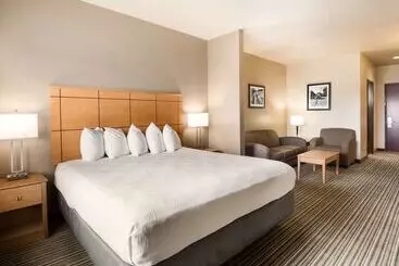 בית מלון כפרי Best Western Shelby Inn & Suites