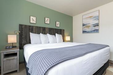 בית מלון כפרי Mtn Lodge Ridgway