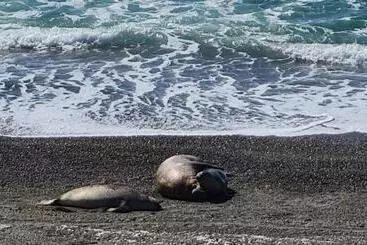 Retkeilymaja La Elvira Natural Lodge