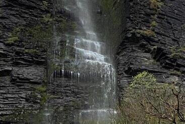 Bed and Breakfast Lilac Manor